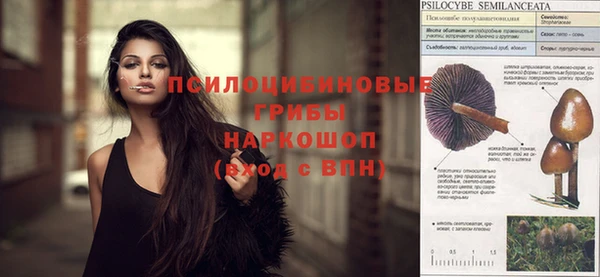 твердый Алзамай