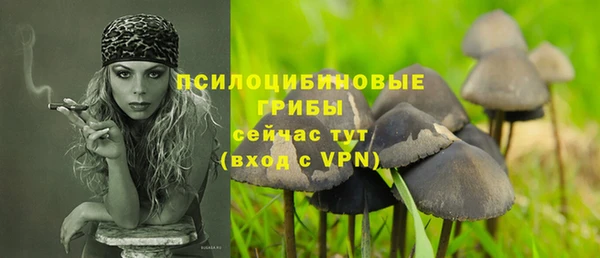 твердый Алзамай